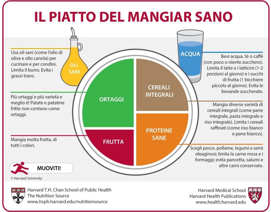 il piatto sano sostituisce la piramide alimentare